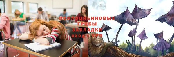 бошки Беломорск