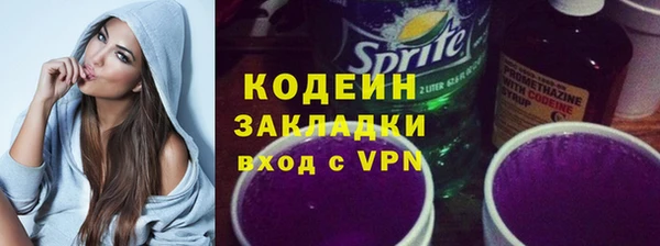 шишки Белоозёрский
