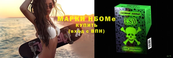 шишки Белоозёрский