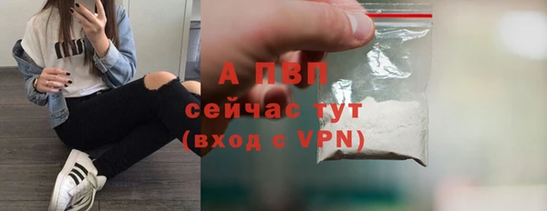 шишки Белоозёрский