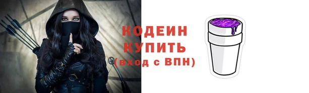 шишки Белоозёрский