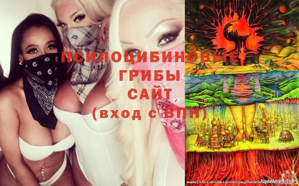 герыч Белокуриха