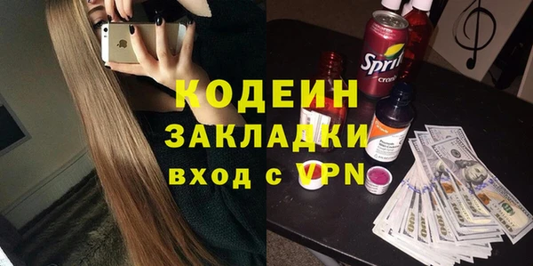 шишки Белоозёрский