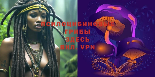 шишки Белоозёрский
