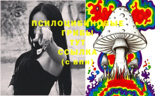 шишки Белоозёрский