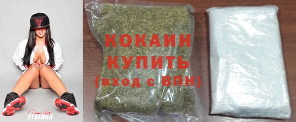 шишки Белоозёрский